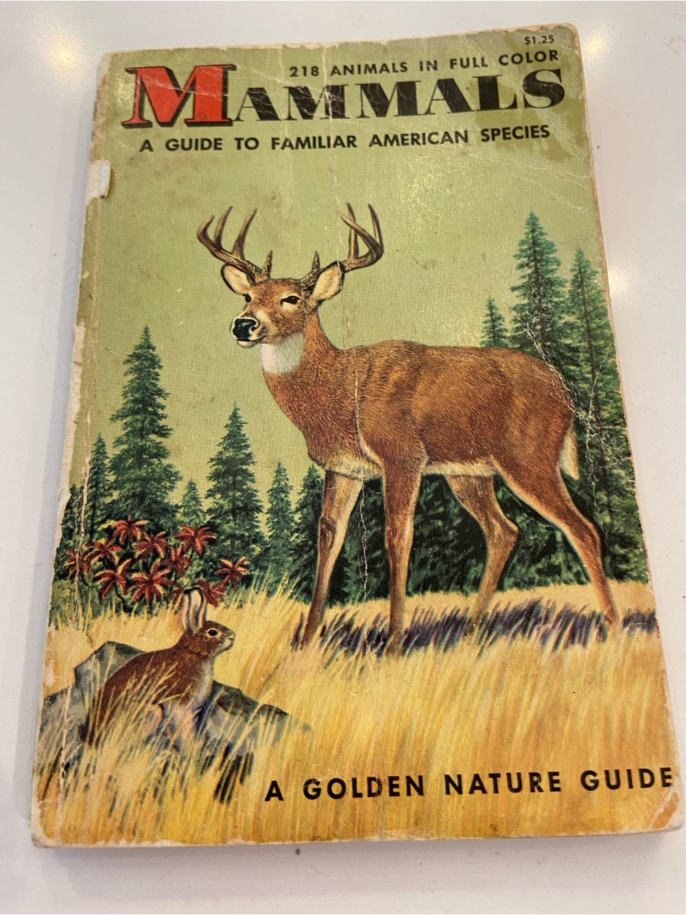 Mammals - A Guide to Familiar American Species Vintage 1955, Paperback